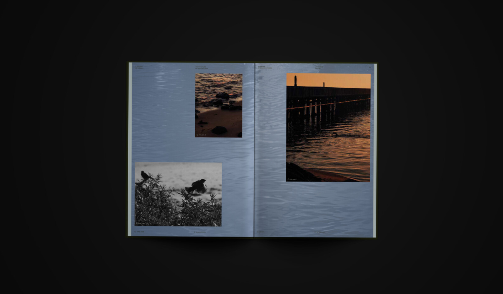 Open book featuring three photographs of a coastal landscape at sunset and a black-and-white image of birds in flight, used for a personalised property marketing campaign adapting in real time.
